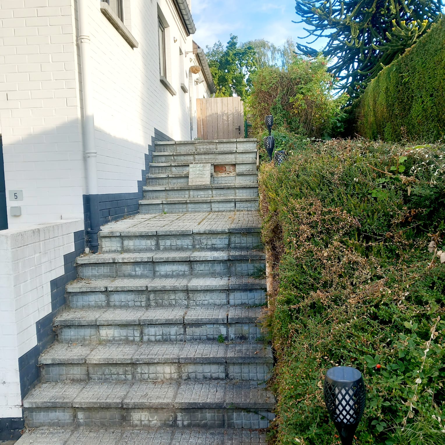 WhatsApp Image 2025-08-30 at 18.55.06 (8)