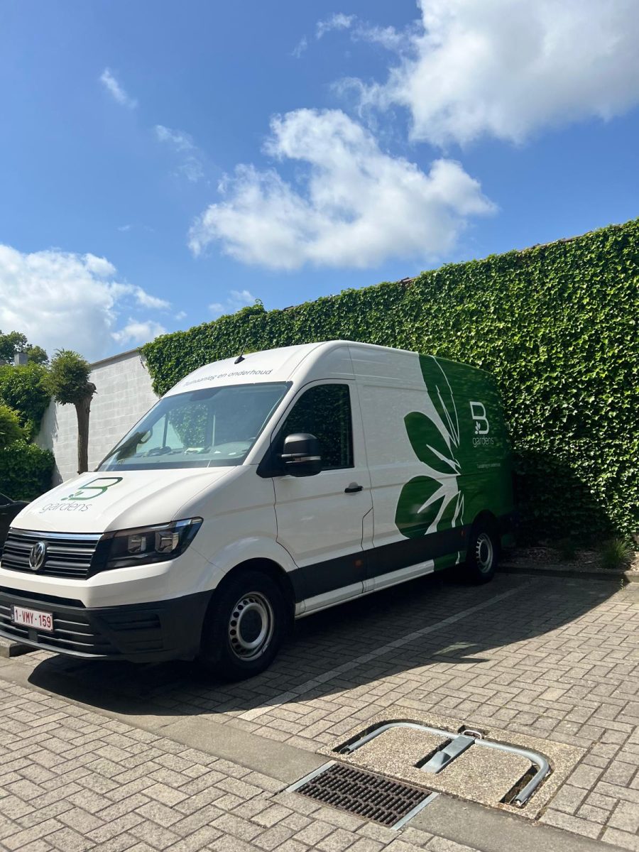 WhatsApp Image 2025-06-27 at 14.09.37